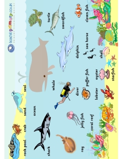 The sea - word mat